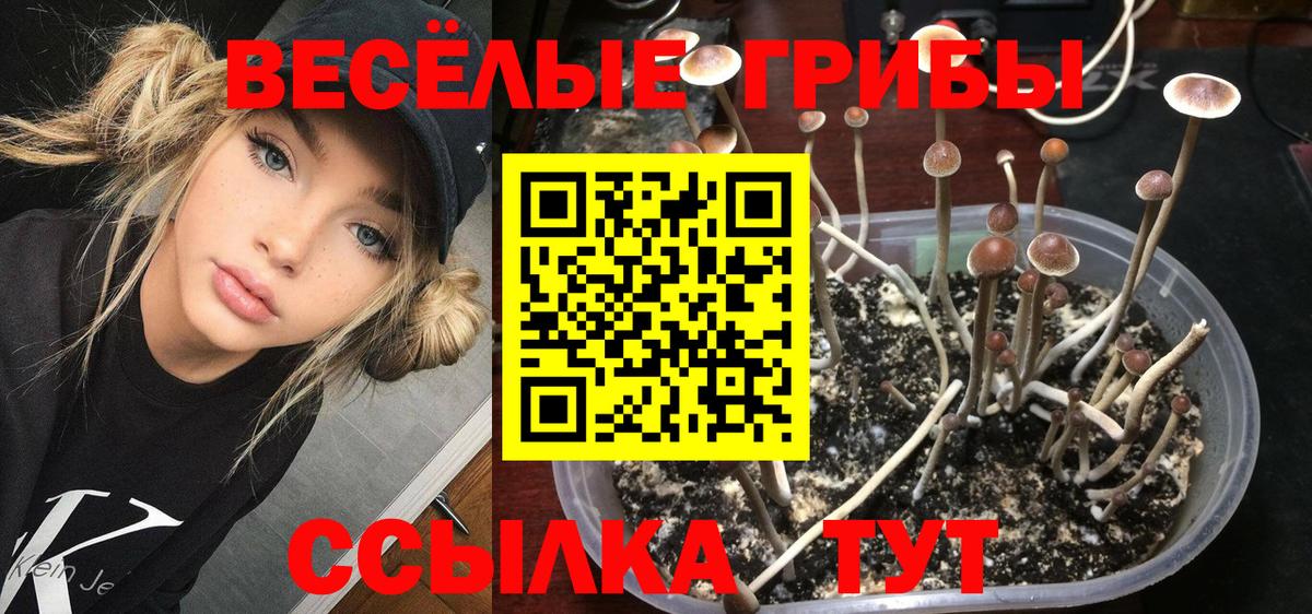 Каннабис Карталы