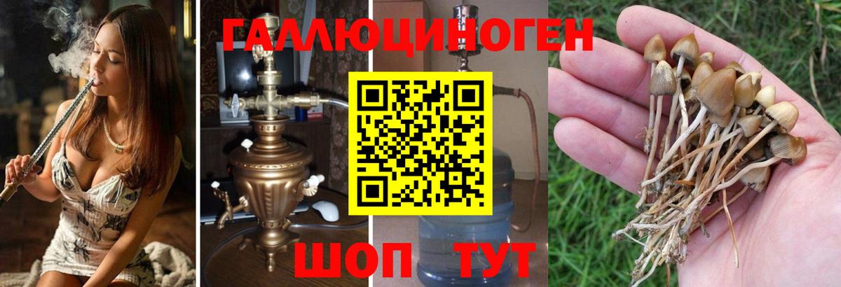 Карталы  Галлюциногенные грибы мухоморы  Вход с VPN 